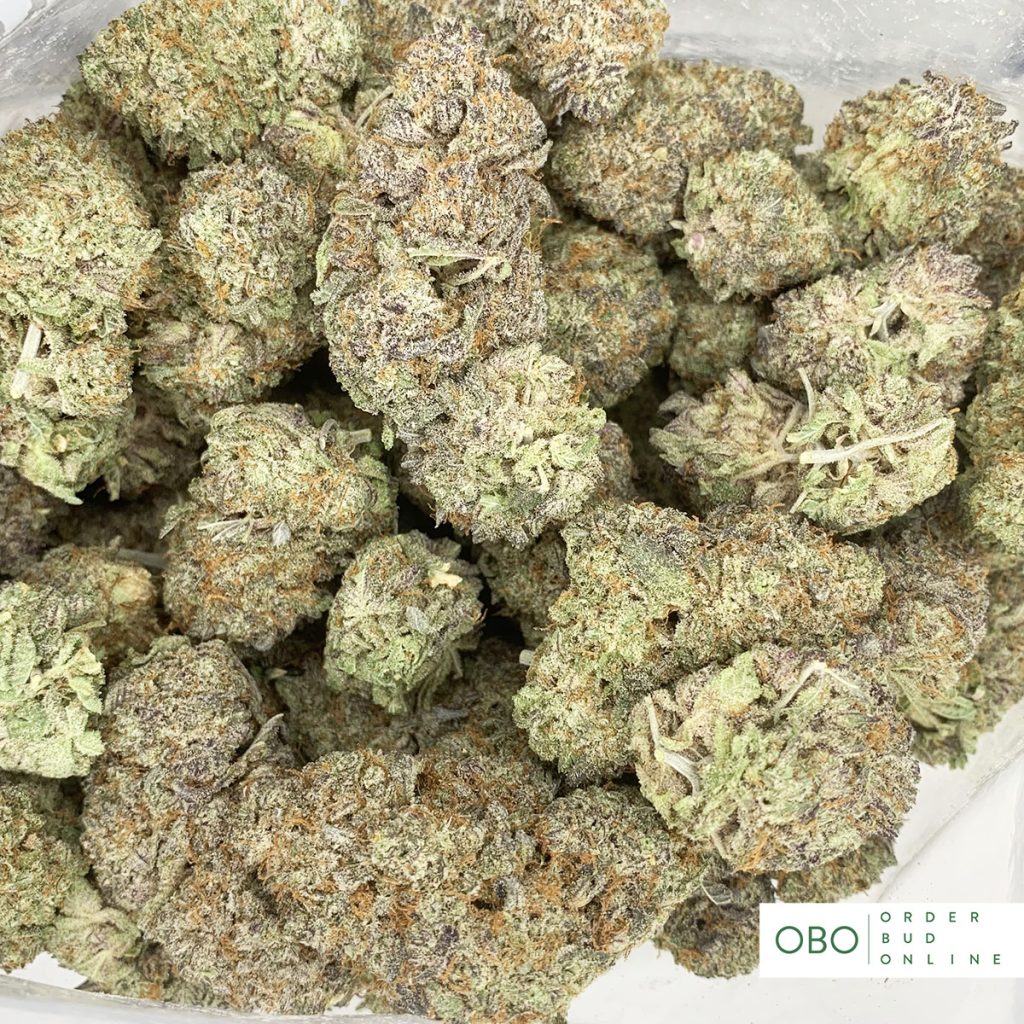 Frosted Gelato Order Bud Online