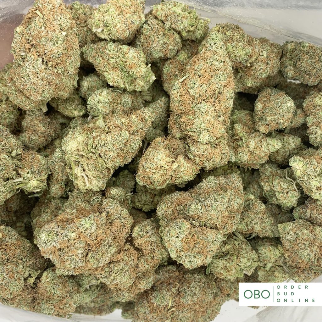 Gelato Cake Order Bud Online