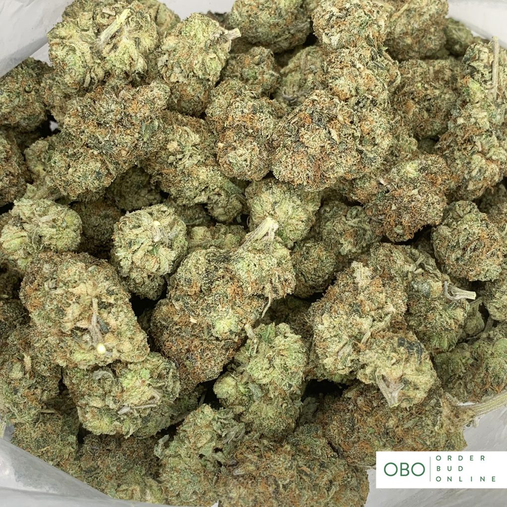 Pink Kush Order Bud Online