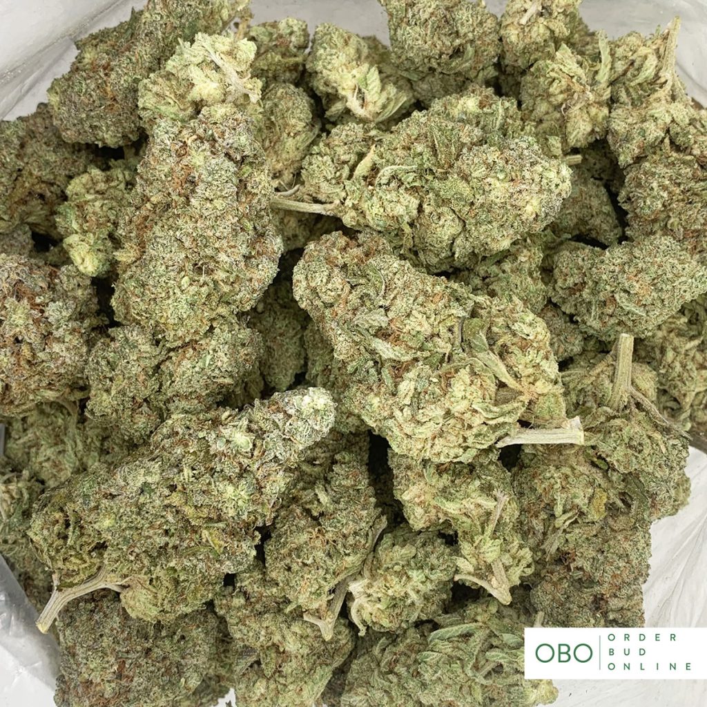 Violator Order Bud Online