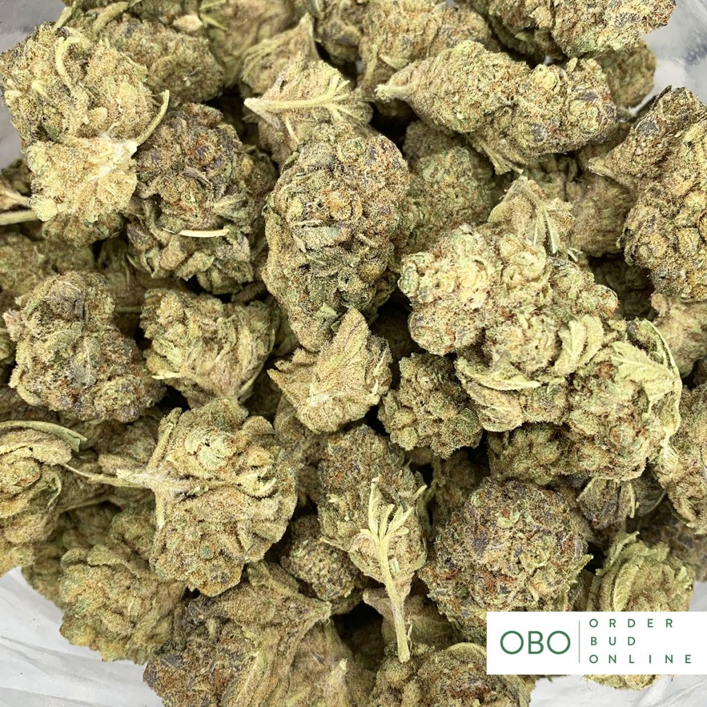 Meatbreath Order Bud Online