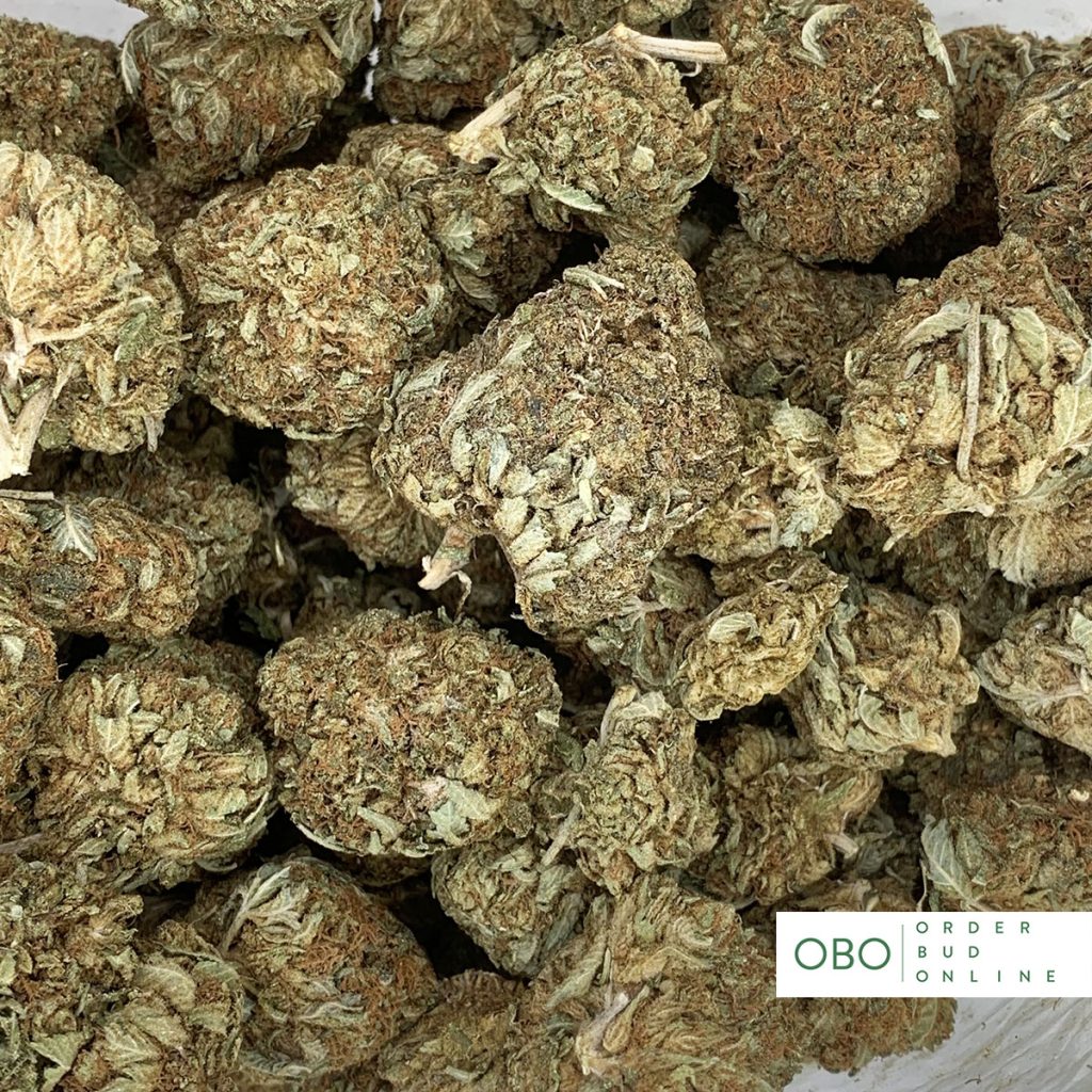 Sour Diesel Order Bud Online