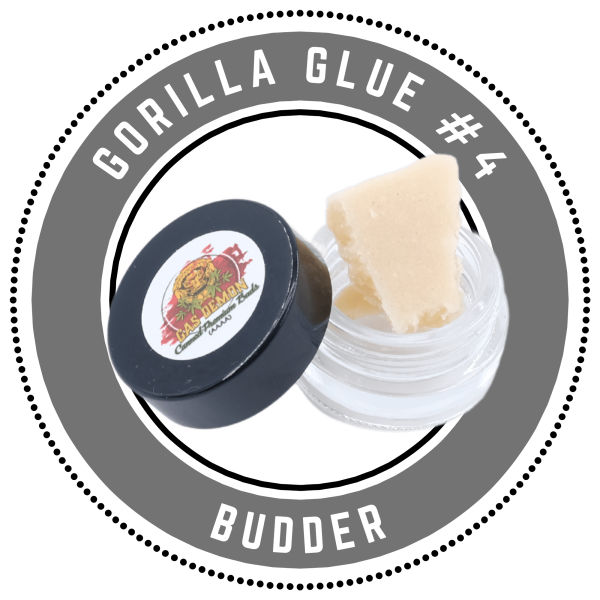 Gas Demon Budder - Gorilla Glue #4