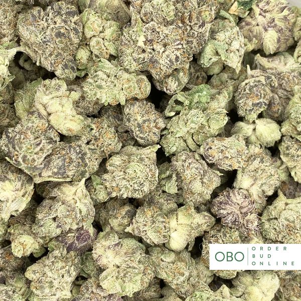 Platinum Kush Breath Popcorn Half Pound