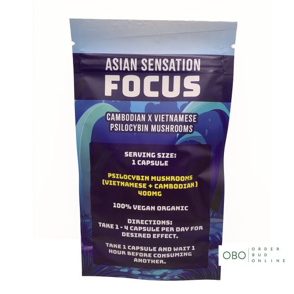 Asian Sensation - FOCUS