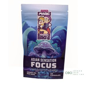 Asian Sensation - FOCUS