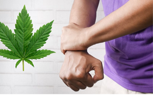 medical cannabis for Chronic Pain