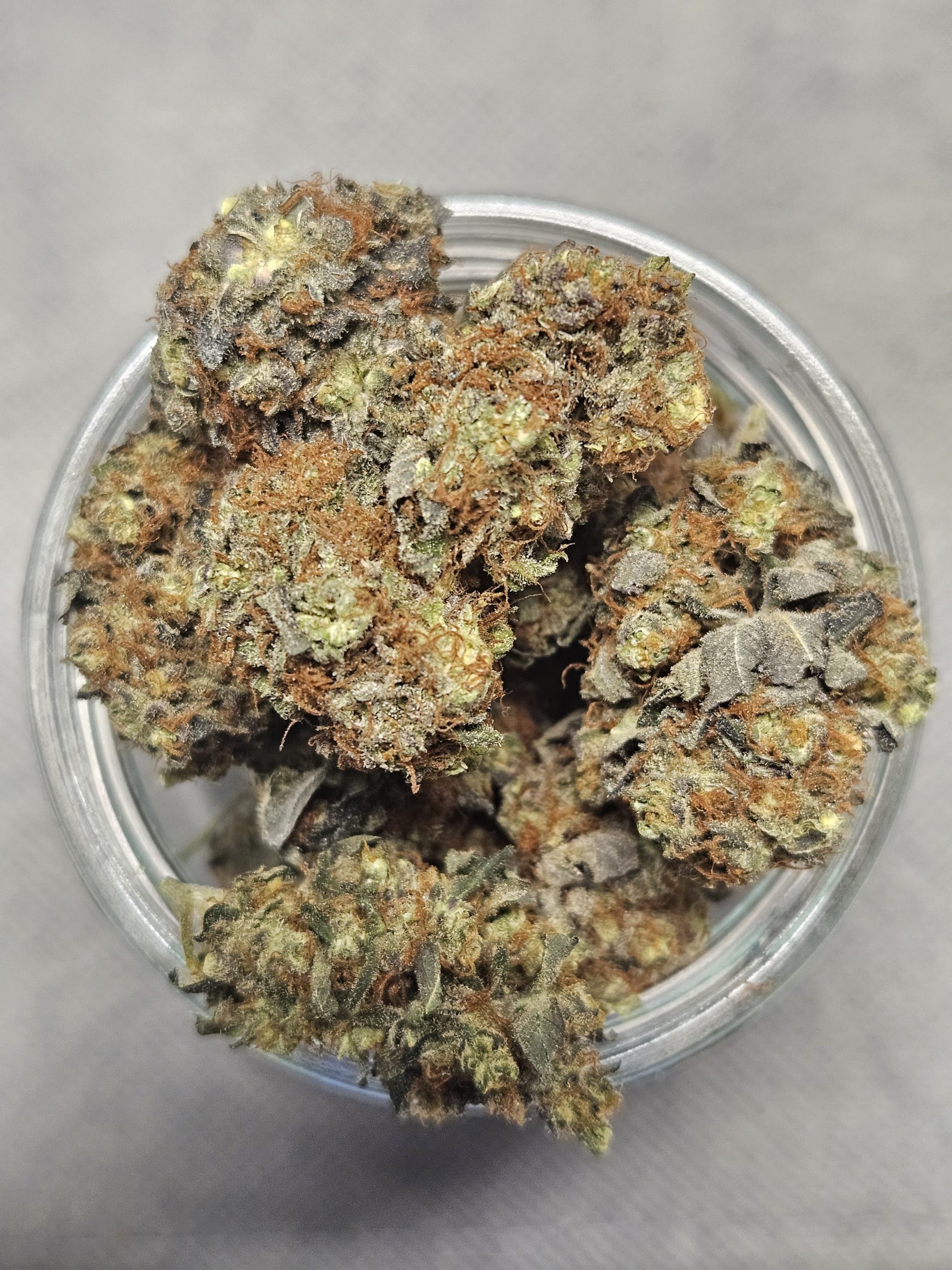 Photographie source: Purple Diesel Popcorn