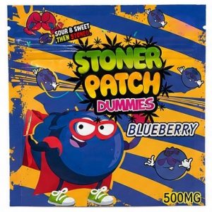 STONEY PATCH KIDS BLUEBERRY